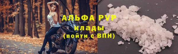СК Елизово