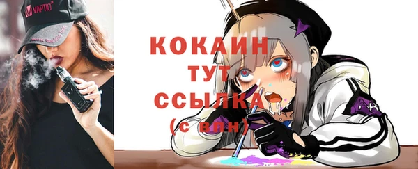 соль курить ск Ельня