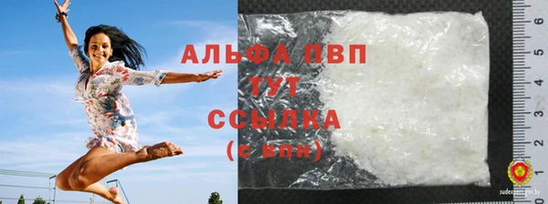 СК Елизово