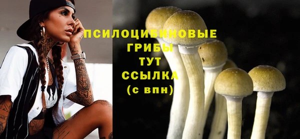 mix Дмитриев