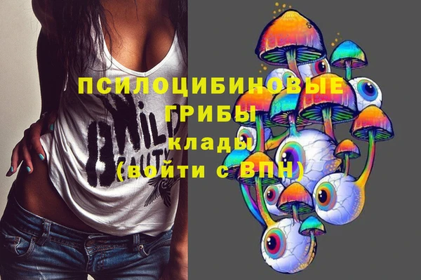 крисы Елабуга