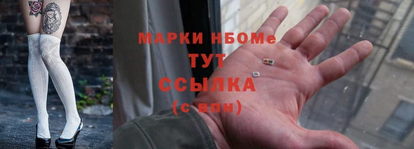 СК Елизово