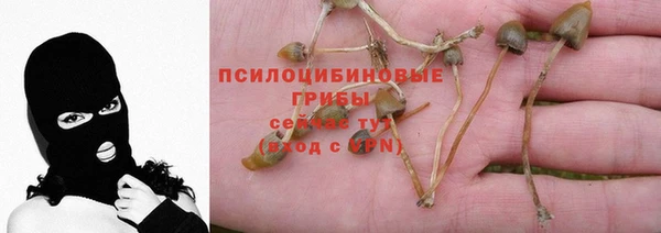 СК Елизово