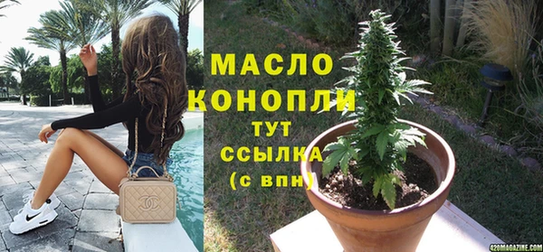 крисы Елабуга