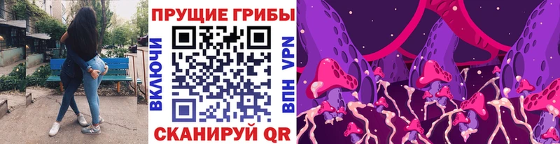 Галлюциногенные грибы мицелий  Хадыженск 